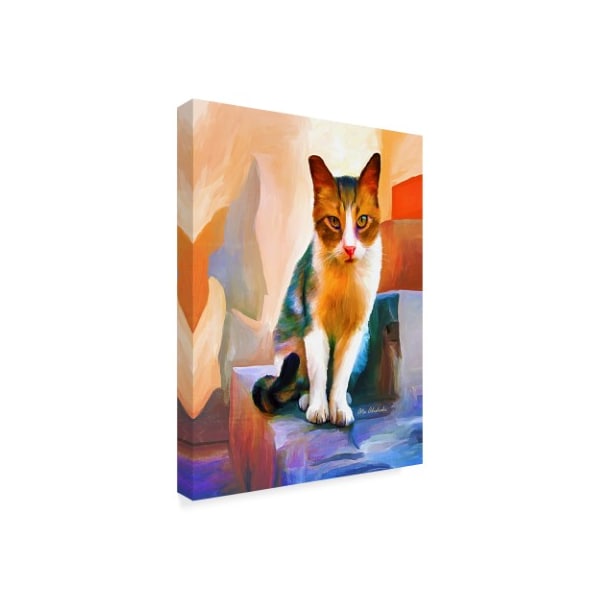 Ata Alishahi 'Cat' Canvas Art,14x19